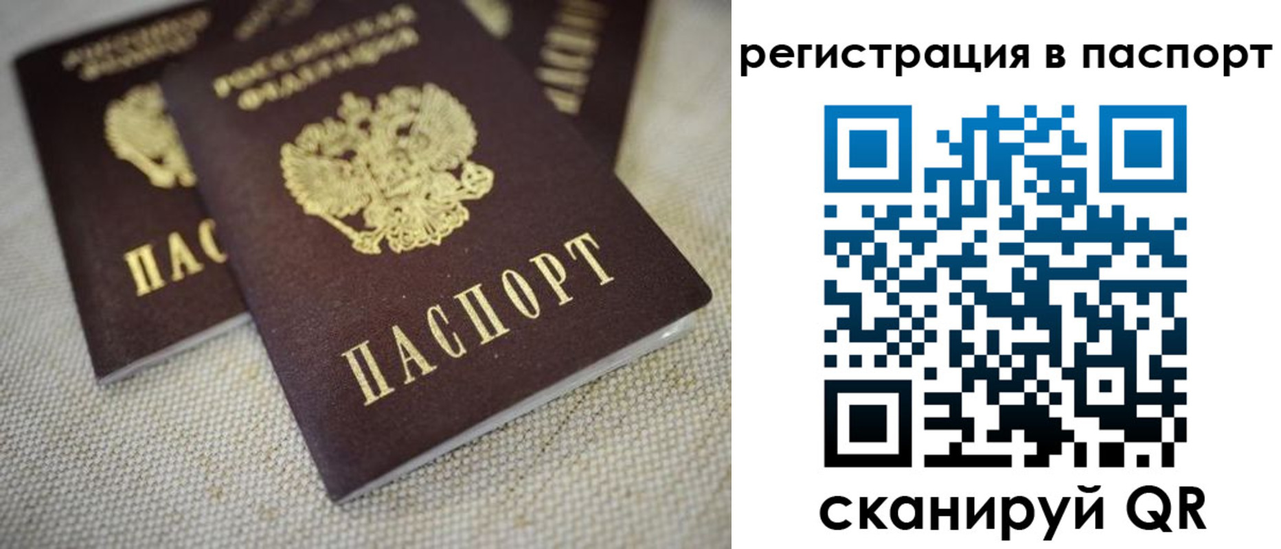 прописка гарантия в Новомичуринске